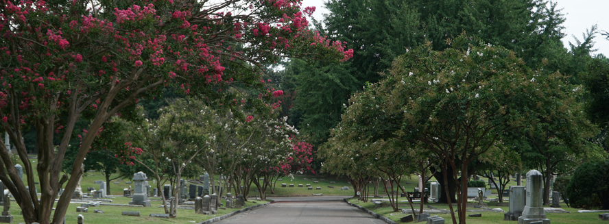 Elmwood Cemetery drive